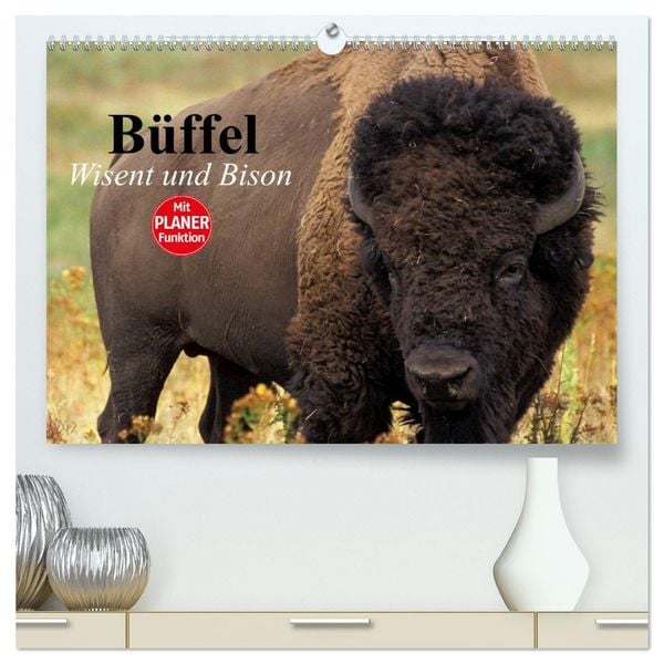 Produktbild: B&uuml;ffel. Wisent und Bison (hochwertiger Premium Wandkalender 2026 DIN A2 quer), Kunstdruck in Hochglanz