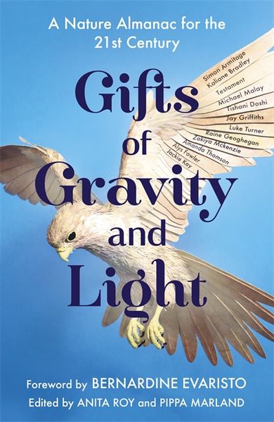 Produktbild: Roy, A: Gifts of Gravity and Light