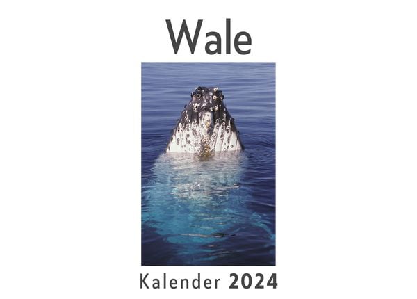 Produktbild: Wale (Wandkalender 2024, Kalender DIN A4 quer, Monatskalender im Querformat mit Kalendarium, Das perfekte Geschenk)