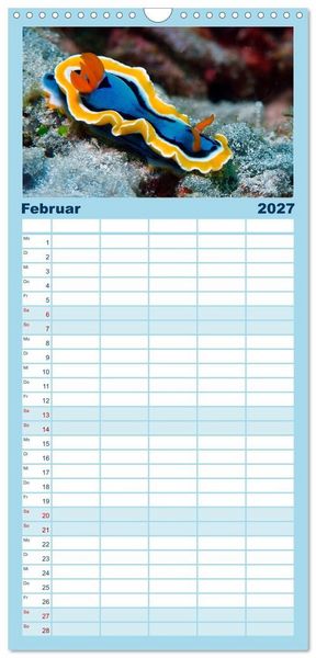 Produktbild: Familienplaner 2027 - Meeres-Schnecken mit 5 Spalten (Wandkalender, 21 x 45 cm) CALVENDO