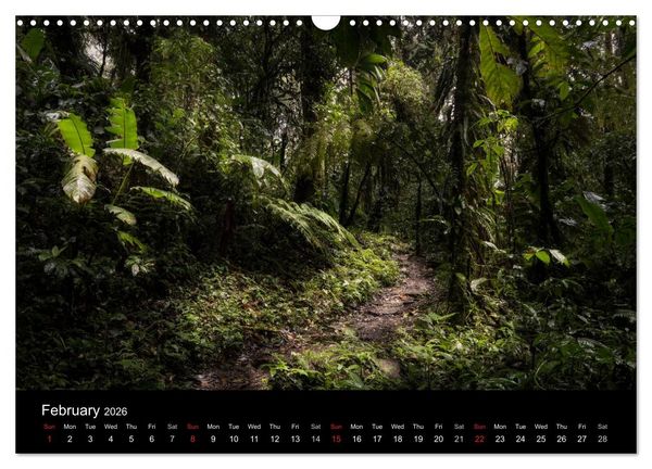 Produktbild: Costa Rica Colours and Light (Wall Calendar 2026 DIN A3 landscape), CALVENDO 12 Month Wall Calendar