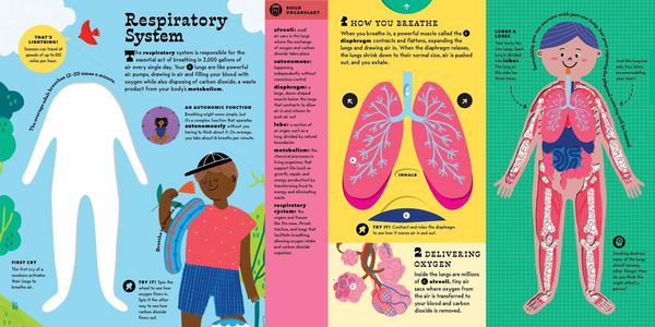 Produktbild: The Interactive Human Body