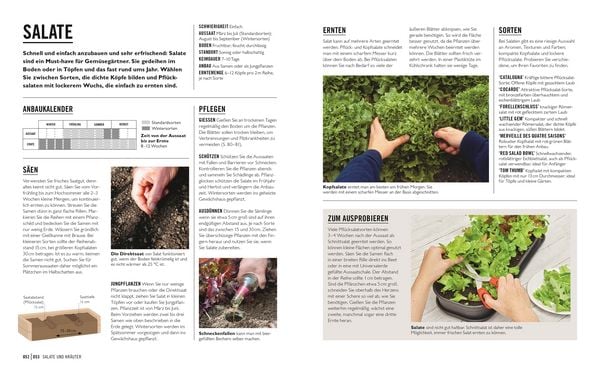 Produktbild: Gr&uuml;nes Gartenwissen. Gem&uuml;se anbauen