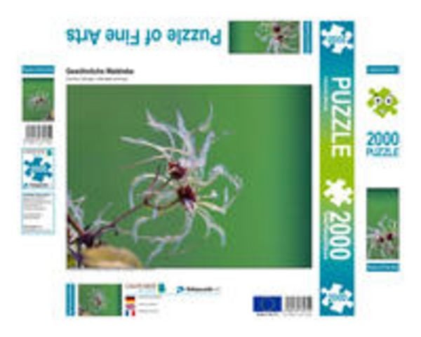 CALVENDO Puzzle Gewöhnliche Waldrebe | 2000 Teile Lege-Größe 90 × 67 cm Foto-Puzzle für glückliche Stunden