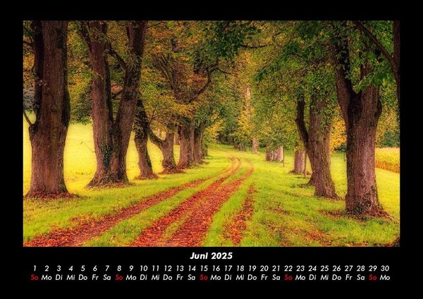 Produktbild: Bilder der Natur 2025 Fotokalender DIN A3