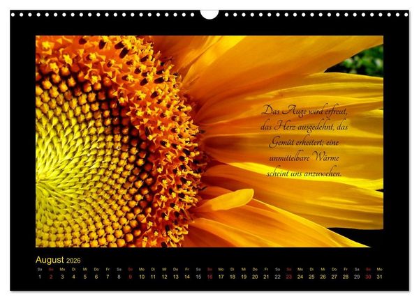 Produktbild: Goethes Gelb Gedanken zur Farbe (Wandkalender 2026 DIN A3 quer), CALVENDO Monatskalender