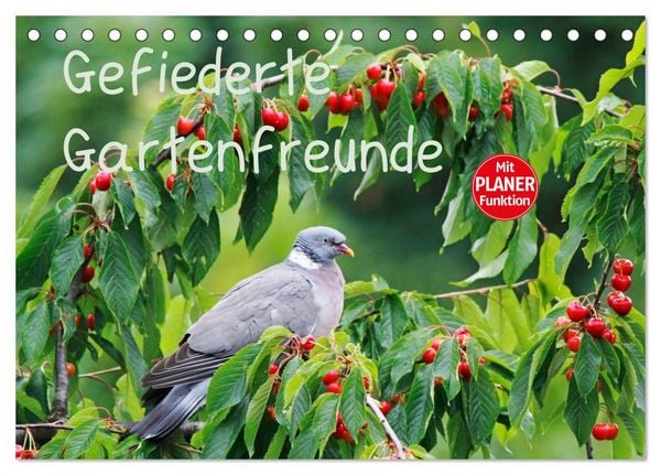 Produktbild: Gefiederte Gartenfreunde (Tischkalender 2026 DIN A5 quer), CALVENDO Monatskalender
