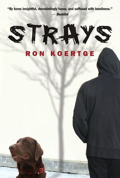 Produktbild: Strays