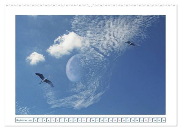 Produktbild: MoonMania (Wandkalender 2026 DIN A2 quer), CALVENDO Monatskalender