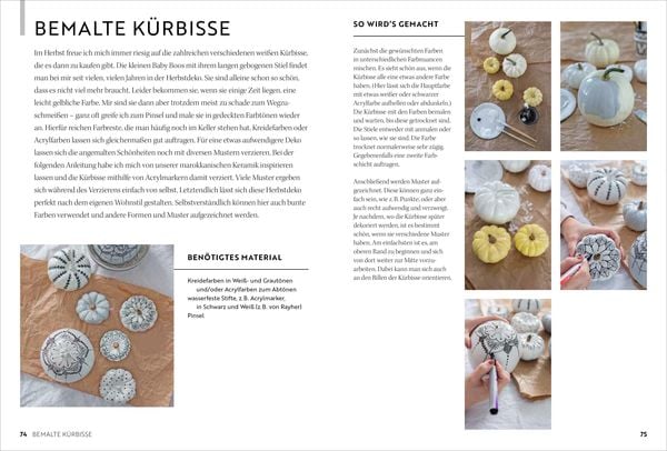 Produktbild: Nordische Feste mit Anna