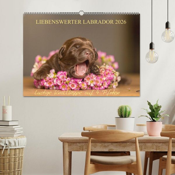Produktbild: Liebenswerter Labrador 2026 (Wandkalender 2026 DIN A2 quer), CALVENDO Monatskalender
