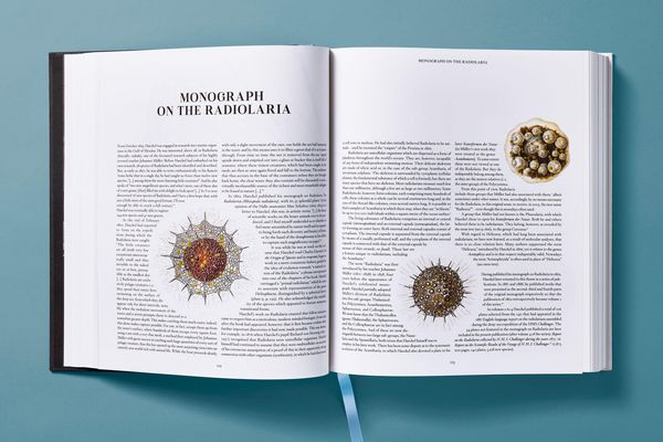 Produktbild: The Art and Science of Ernst Haeckel