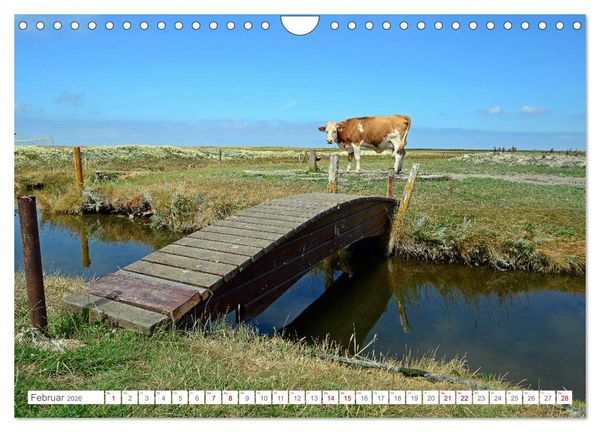 Produktbild: Sommertage auf Hallig Hooge (Wandkalender 2026 DIN A4 quer), CALVENDO Monatskalender