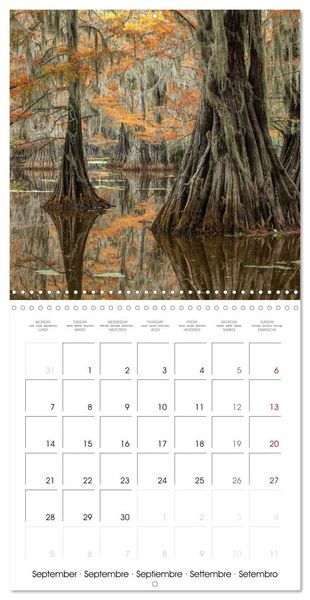Produktbild: Mississippi Delta, Magic Swamps (Wall Calendar 2026 12 &times; 12 Inch) CALVENDO 12 Month Wall Calendar