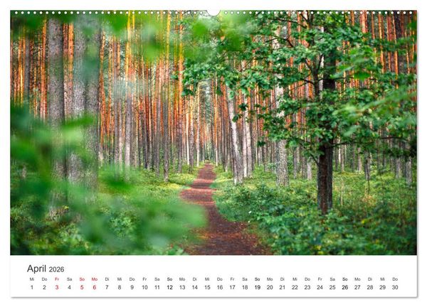 Produktbild: Weisheit - Der Weg ist das Ziel (Wandkalender 2026 DIN A2 quer), CALVENDO Monatskalender