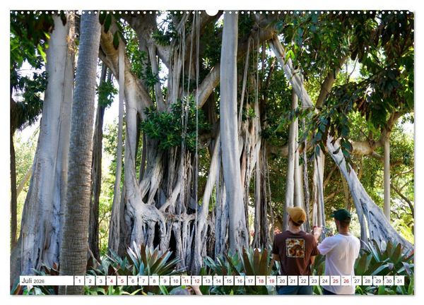 Produktbild: Puerto de la Cruz. Teneriffa Urlaub. (hochwertiger Premium Wandkalender 2026 DIN A2 quer), Kunstdruck in Hochglanz