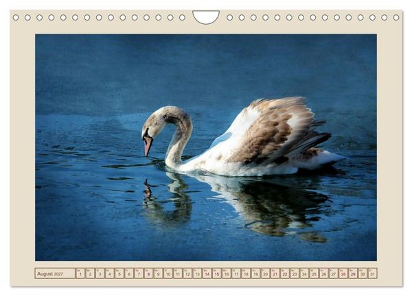 Produktbild: V&ouml;gel am Chemnitzer Schlossteich (Wandkalender 2027 DIN A4 quer), CALVENDO Monatskalender
