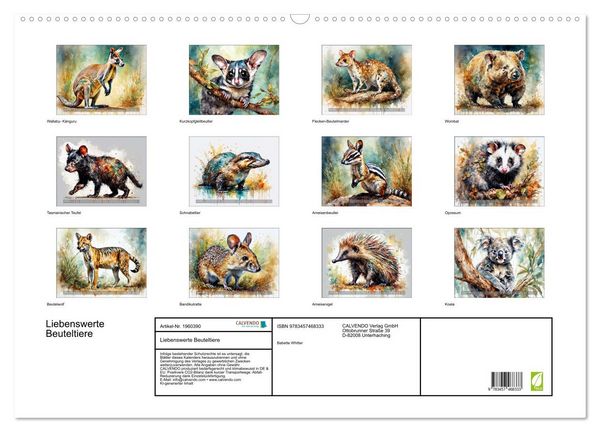 Produktbild: Liebenswerte Beuteltiere (Wandkalender 2026 DIN A2 quer), CALVENDO Monatskalender