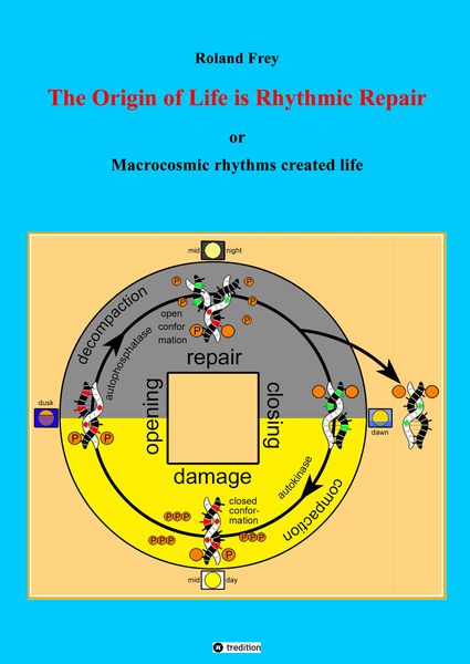 Produktbild: The origin of life is rhythmic repair or Macrocosmic rhythms created life
