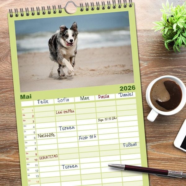 Produktbild: Familienplaner 2026 - Border Collies mit 5 Spalten (Wandkalender, 21 x 45 cm) CALVENDO
