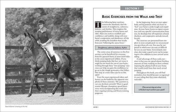 Produktbild: 101 Jumping Exercises for Horse & Rider