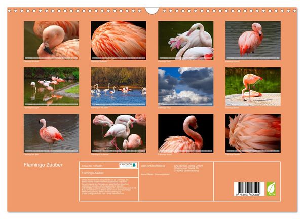 Produktbild: Flamingo Zauber (Wandkalender 2026 DIN A3 quer), CALVENDO Monatskalender