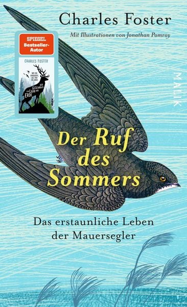Produktbild: Der Ruf des Sommers