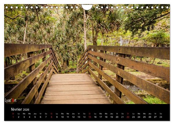 Produktbild: Paysages de La R&eacute;union (Calendrier mural 2026 DIN A4 vertical), CALVENDO calendrier mensuel