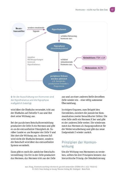 Produktbild: Hormoncoaching erlernen & gezielt anwenden