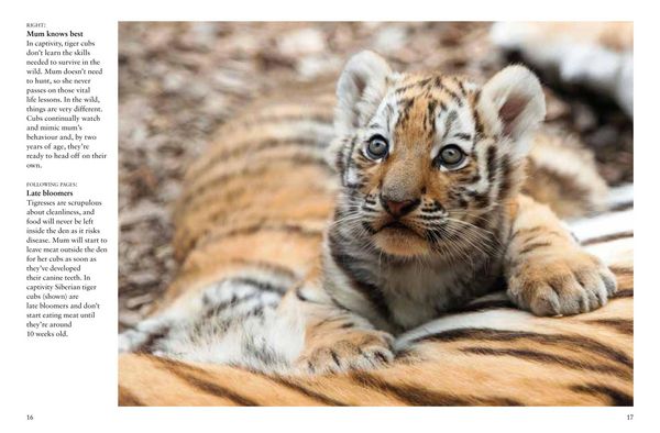 Produktbild: Tigers