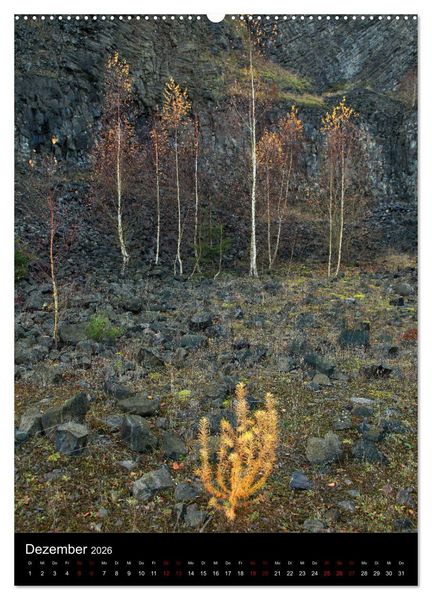 Produktbild: NATUREART - KUNST IN DER NATUR (Wandkalender 2026 DIN A2 hoch), CALVENDO Monatskalender