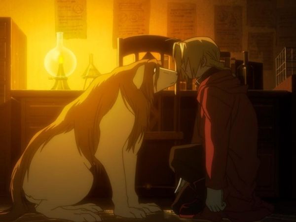 Produktbild: Fullmetal Alchemist - Brotherhood Vol. 1/Episode 1-8 [LE]