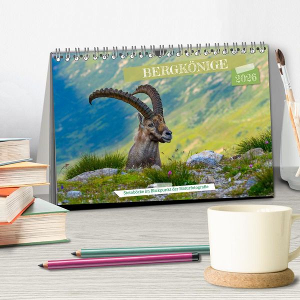 Produktbild: Bergk&ouml;nige - Steinb&ouml;cke im Blickpunkt der Naturfotografie (Tischkalender 2026 DIN A5 quer), CALVENDO Monatskalender