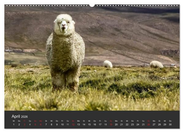 Produktbild: Peru 2026 Im Land des Kondors (hochwertiger Premium Wandkalender 2026 DIN A2 quer), Kunstdruck in Hochglanz