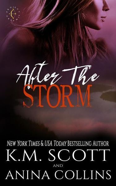 Produktbild: After the Storm