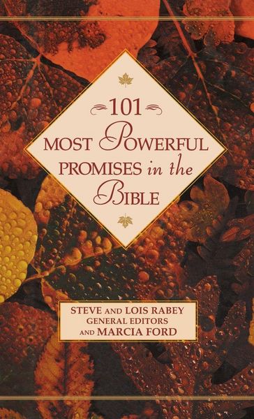 Produktbild: 101 Most Powerful Promises in the Bible