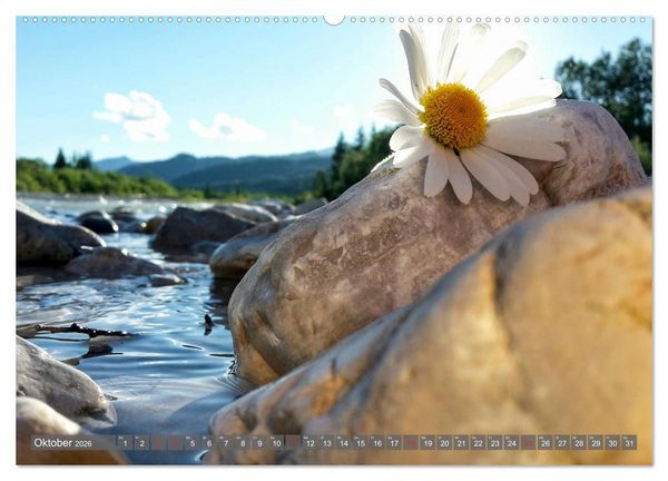 Produktbild: Flora der Alpen (hochwertiger Premium Wandkalender 2026 DIN A2 quer), Kunstdruck in Hochglanz