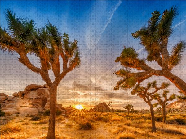 Produktbild: CALVENDO Puzzle Herrlicher Sonnenuntergang im Joshua Tree National Park 1000 Teile Lege-Gr&ouml;&szlig;e 64 x 48 cm Foto-Puzzle Bild von Melanie Viola