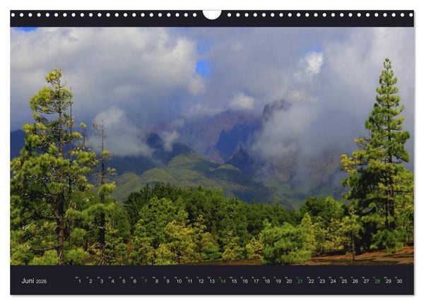 Produktbild: wildes La Palma (Wandkalender 2026 DIN A3 quer), CALVENDO Monatskalender