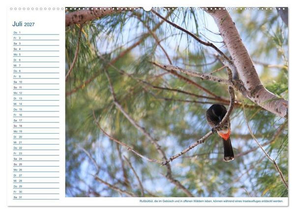 Produktbild: S&uuml;dsee-Insel Mo'orea (Wandkalender 2027 DIN A2 quer), CALVENDO Monatskalender