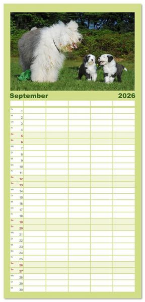 Produktbild: Familienplaner 2026 - In der Kinderstube bei Familie Bobtail mit 5 Spalten (Wandkalender, 21 x 45 cm) CALVENDO