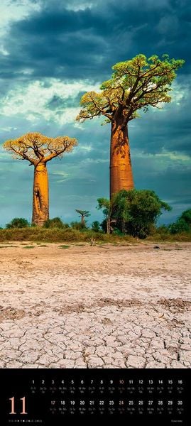 Produktbild: Trees 2024