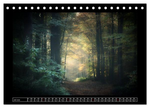 Produktbild: Der Reichswald bei Kleve (Tischkalender 2026 DIN A5 quer), CALVENDO Monatskalender