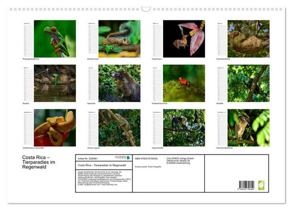 Produktbild: Costa Rica &ndash; Tierparadies im Regenwald (Wandkalender 2027 DIN A2 quer), CALVENDO Monatskalender