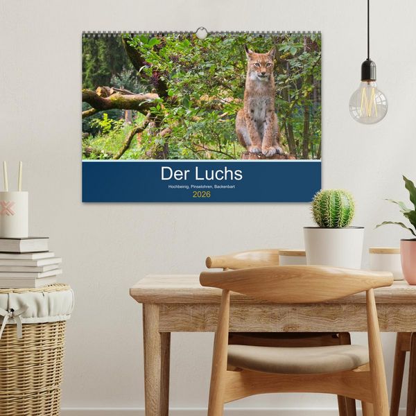 Produktbild: Der Luchs - Hochbeinig, Pinselohren, Backenbart (Wandkalender 2026 DIN A3 quer), CALVENDO Monatskalender