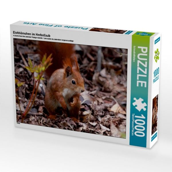 Produktbild: Eichh&ouml;rnchen im Herbstlaub (Puzzle)