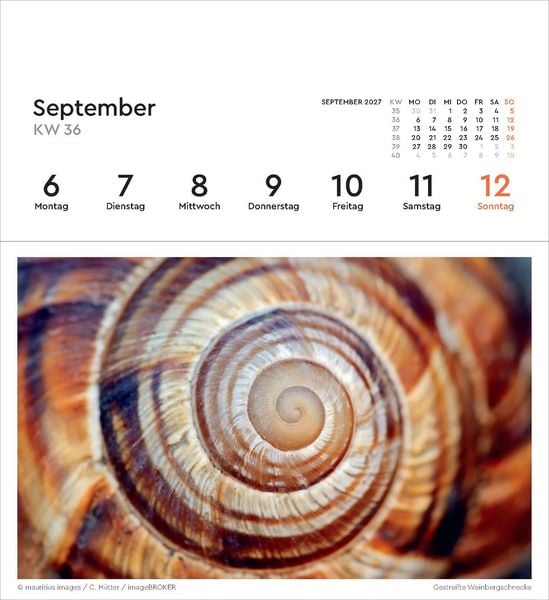 Produktbild: Strukturen - KUNTH Postkartenkalender 2027
