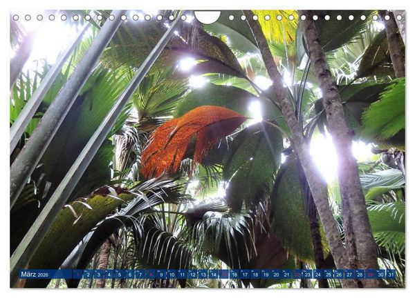 Produktbild: Seychellen - Wild und Sch&ouml;n (Wandkalender 2026 DIN A4 quer), CALVENDO Monatskalender