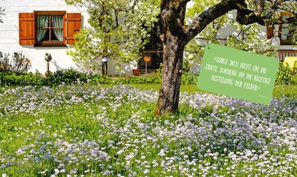 Produktbild: K&uuml;he, H&uuml;hner, Feriengl&uuml;ck