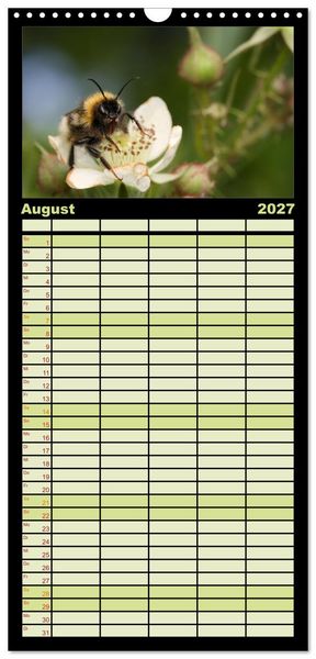Produktbild: Familienplaner 2027 - Verborgene Wunder mit 5 Spalten (Wandkalender, 21 x 45 cm) CALVENDO